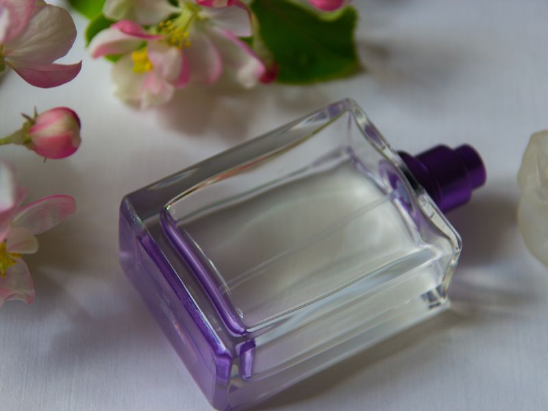 portada blog mejores perfumes para hombres y mujeres